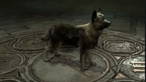 Diablo 4 has turned its back on one of its best features from Season 4