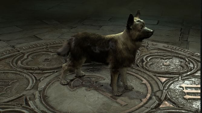 Diablo 4 has turned its back on one of its best features from Season 4