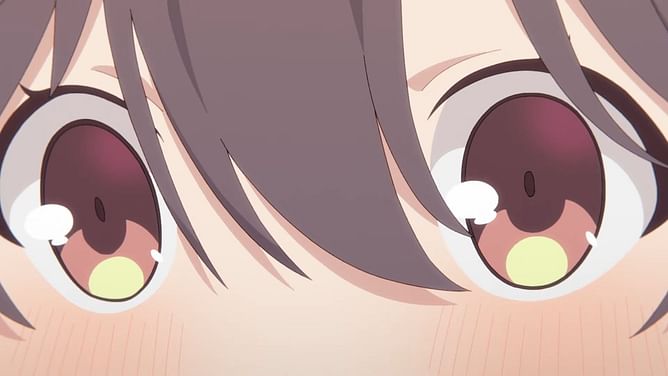 Original television Hibimeshi anime officially announced for 2025