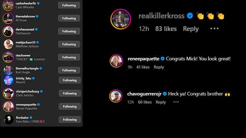 Screenshot of stars' likes and comments [Image credit: Mick Foley's Instagram handle]