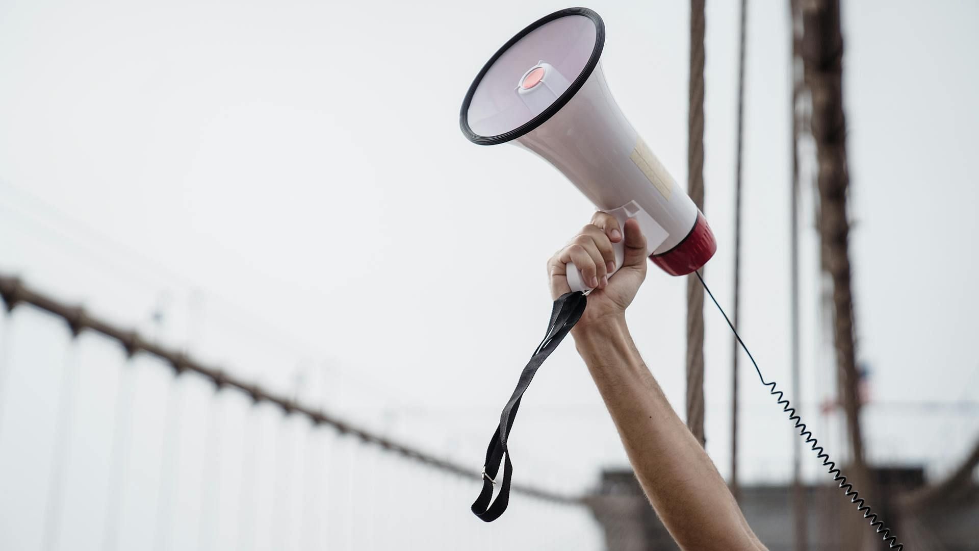 The Curious Case Of... episode 3 subject Rossi started advocating against the torture faced in foster care (Image via Pexels)