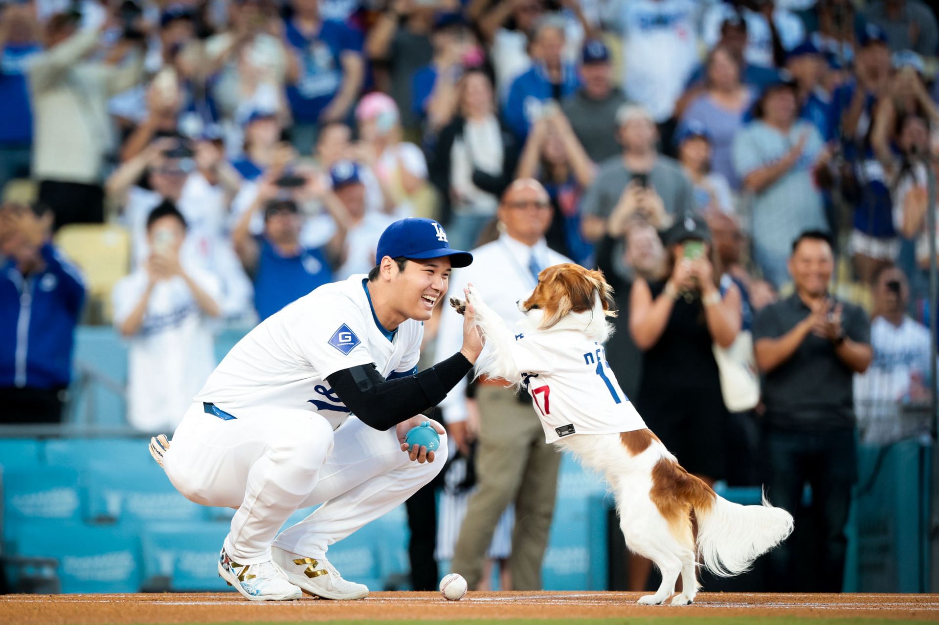 Decoy, the dog of Shohei Ohtani #17 of the Los Angeles Dodgers delivered the first pitch before the game against the Baltimore Orioles at Dodger Stadium on Aug. 28, 2024. (Credits: Getty)