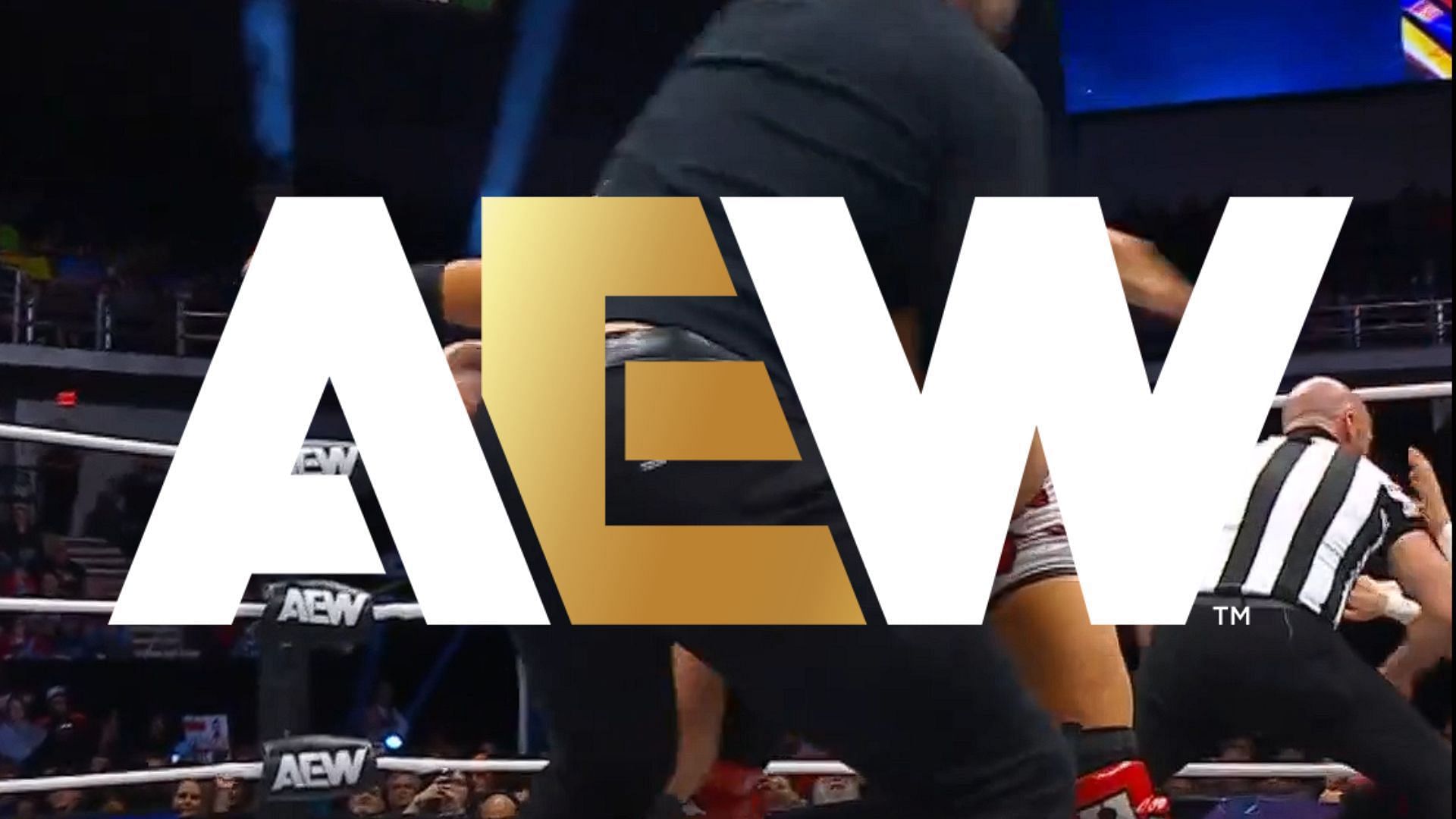 All Elite Wrestling is a Jacksonville-based promotion led by Tony Khan [photo: AEW Official X Account]