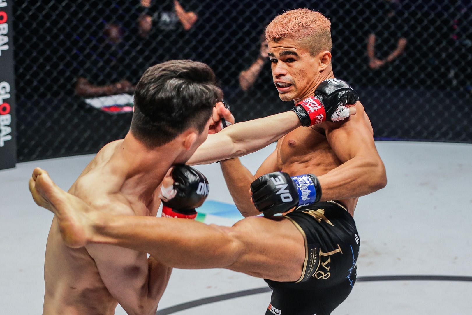 Fabricio Andrade fighting Kwon Won Il | Image credit: ONE Championship