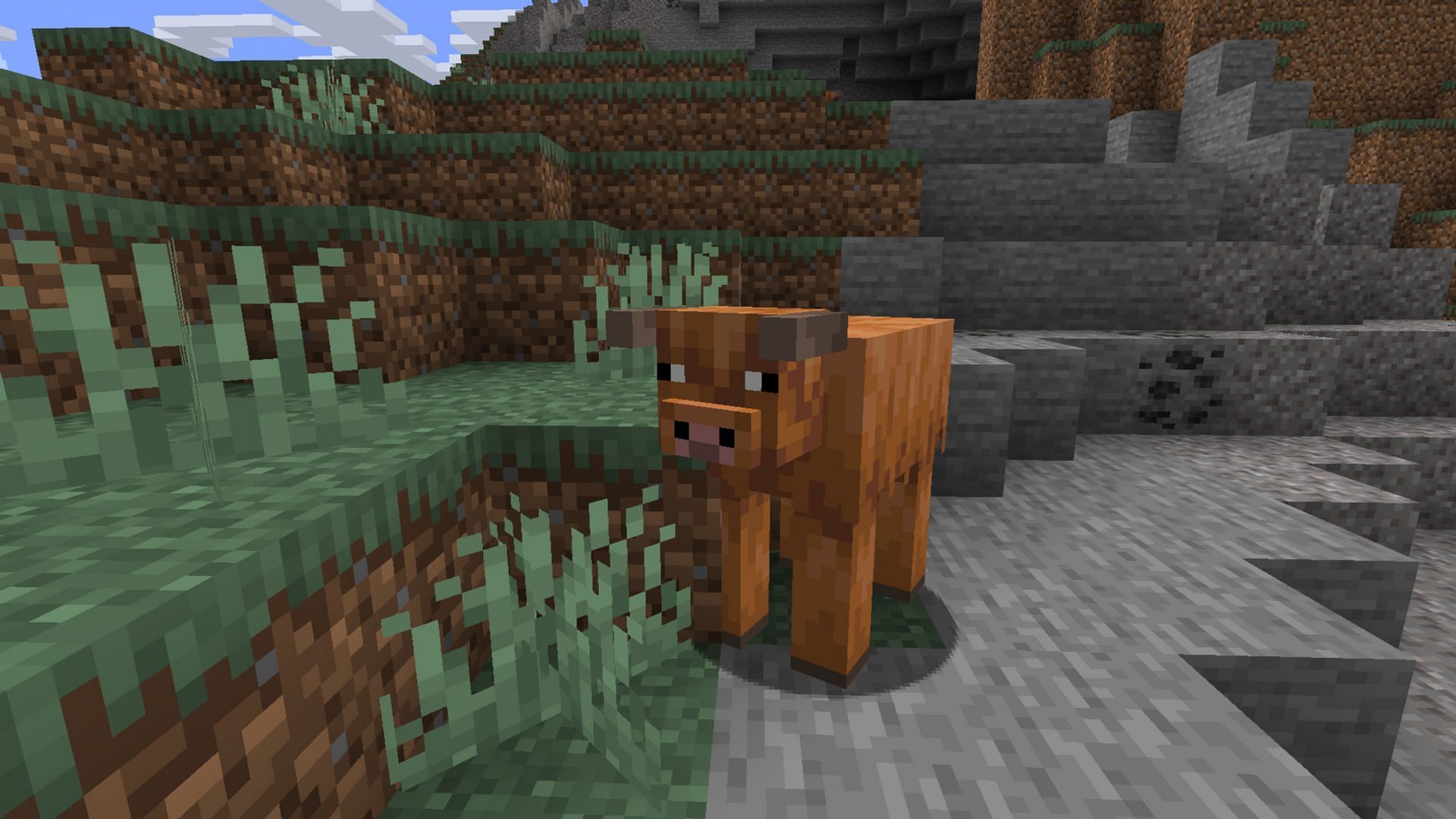 The Minecraft Bedrock 1.21.70.20 beta and preview adds two new cow variants to the game (Image via Mojang Studios)