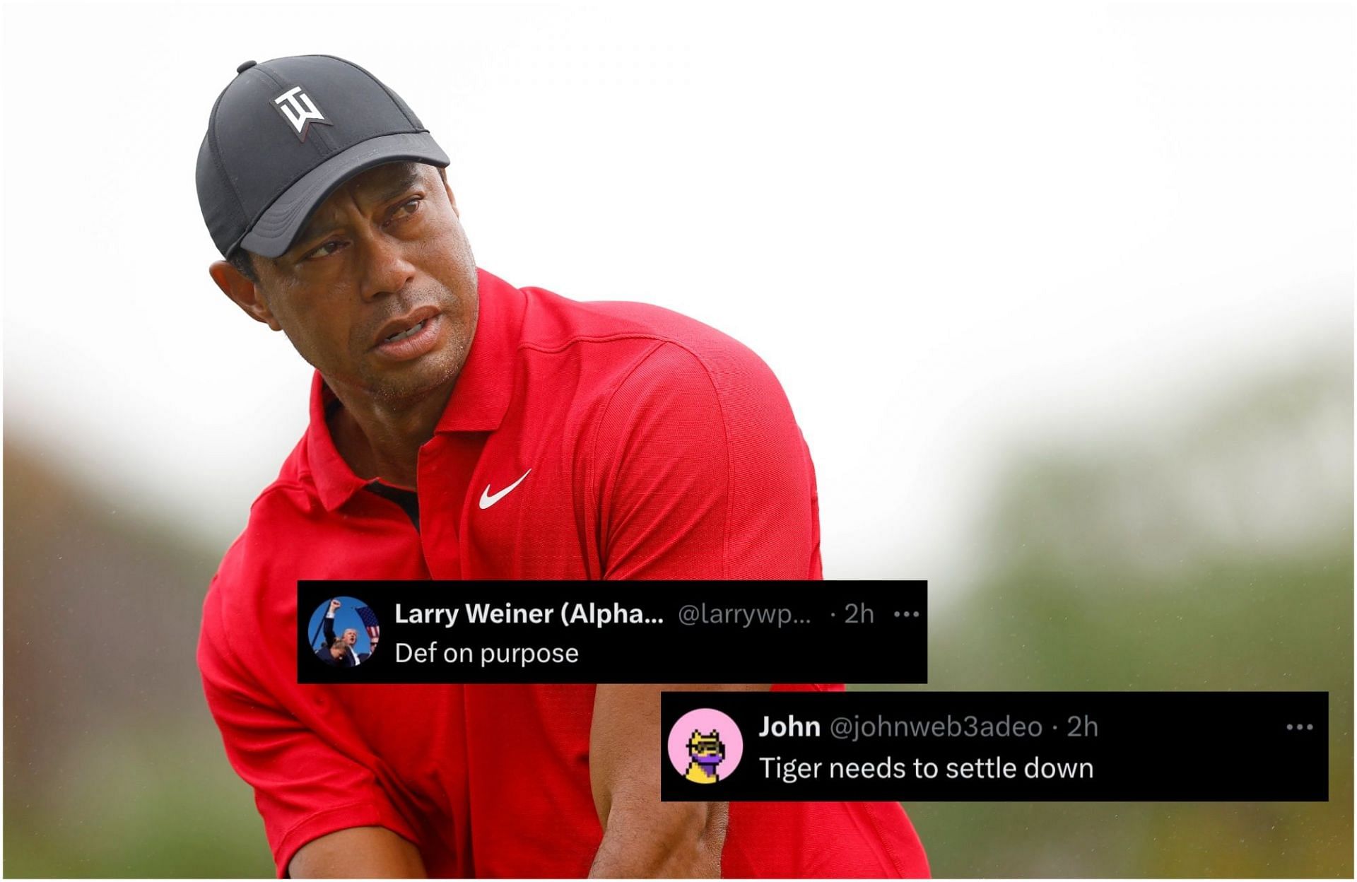 Tiger Wood