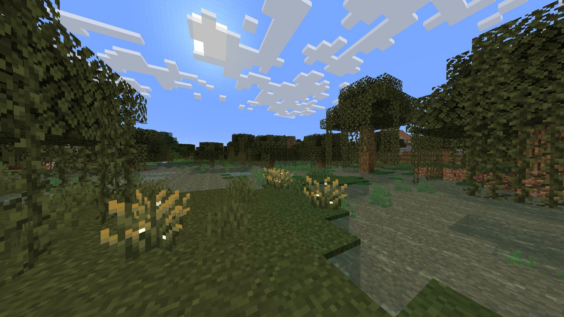 The firefly bush can be found near swamps and rivers (Image via Mojang Studios)