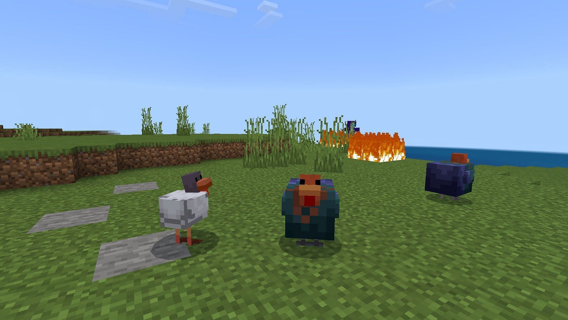 Chicken deserve the same love as wolves (Image via Mojang Studios || Bass_Pro_Dan)