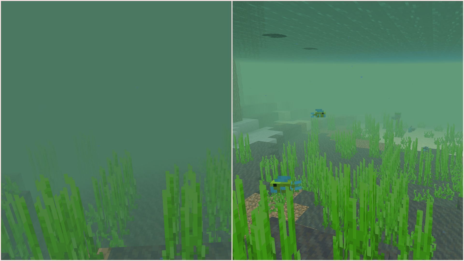 Underwater fog in Mangrove Swamp areas will gradually clear out similar to other biomes (Image via Mojang Studios)