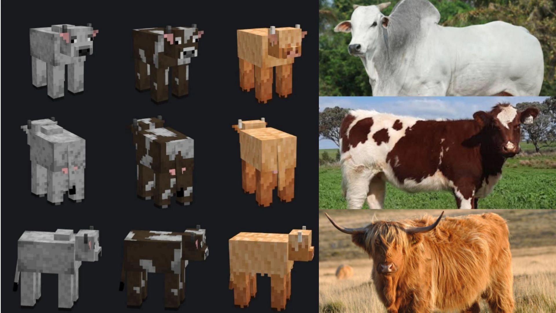 More variants of cows would be a welcome addition (Image via Mojang Studios || Reddit/u/juniorvander )