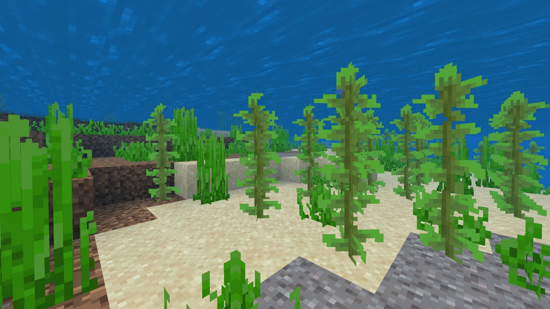 Kelp will generate more frequently and at any height (Image via Mojang Studios)