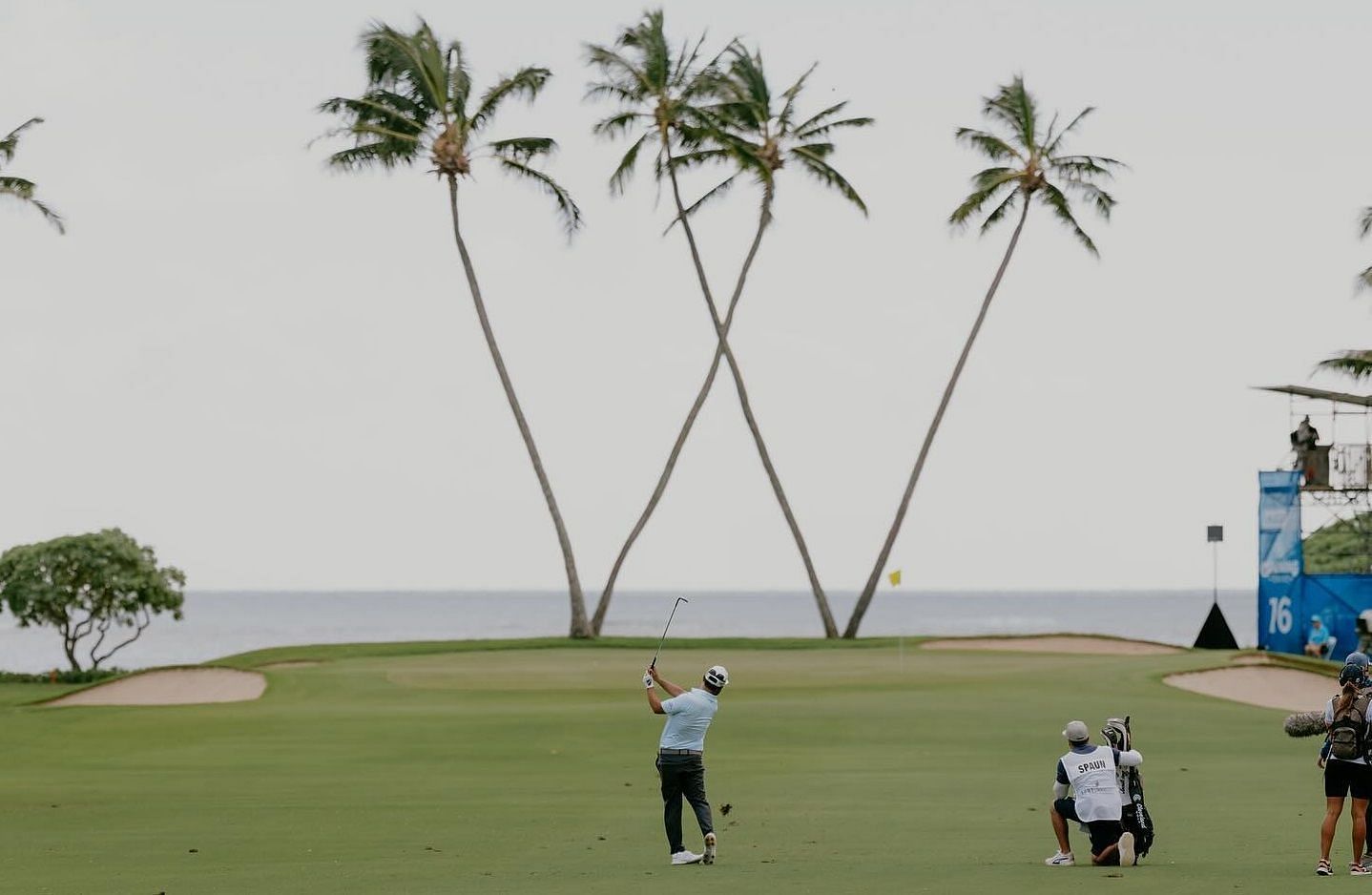 Sony Open in Hawaii 2025: Schedule, Live Streaming &amp; Telecast Details