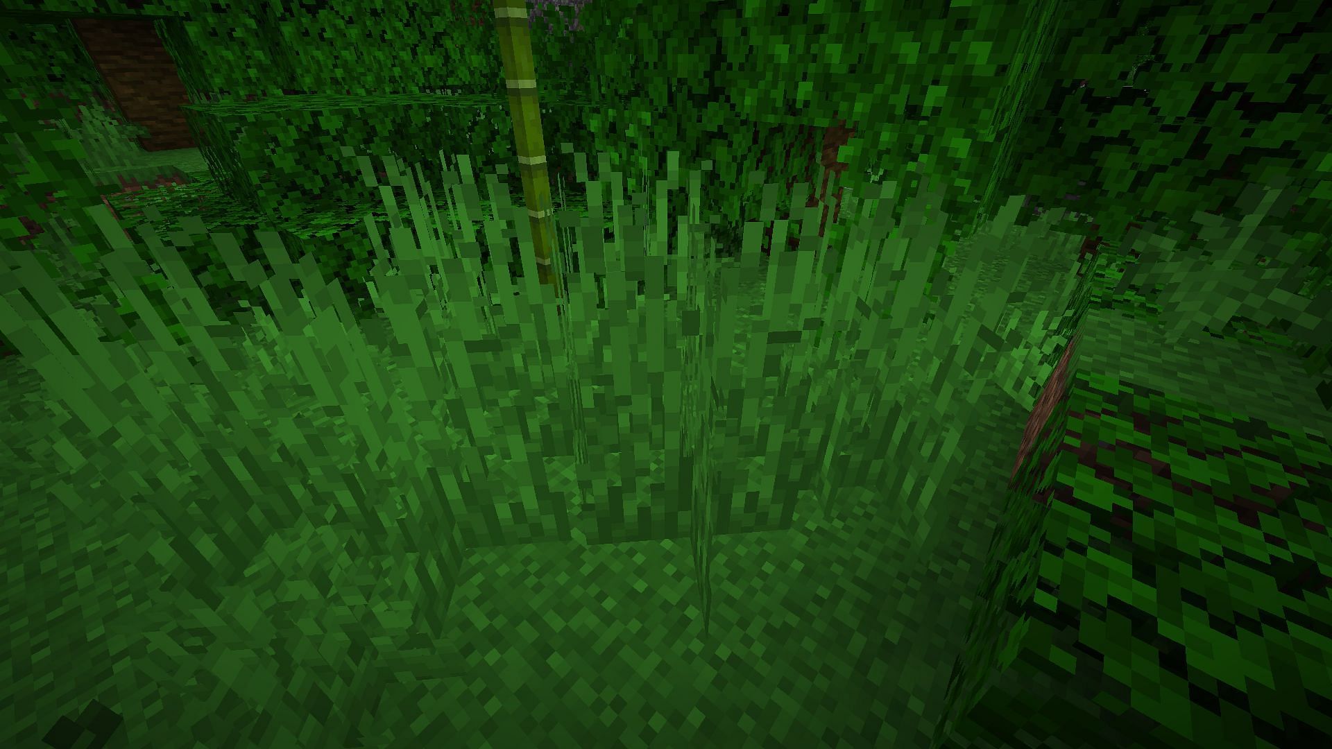 Tall grass gets in the way of Minecraft combat (Image via Mojang Studios)