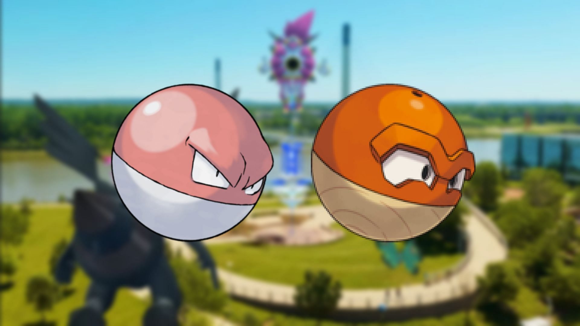 Voltorb &amp; Hisuian Voltorb Spotlight Hour (Image via TPC)