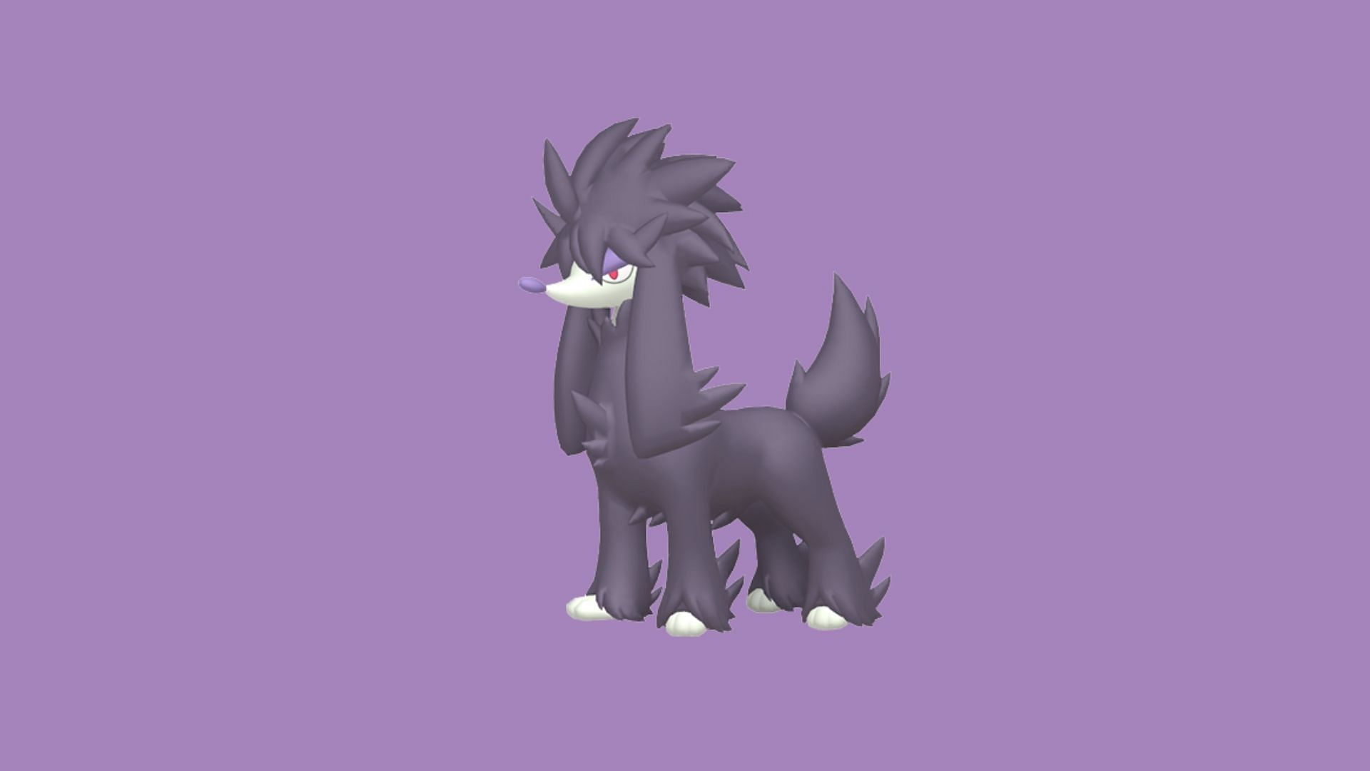 Furfrou wearing a Shiny Fashionable (Image via The Pokemon Company)