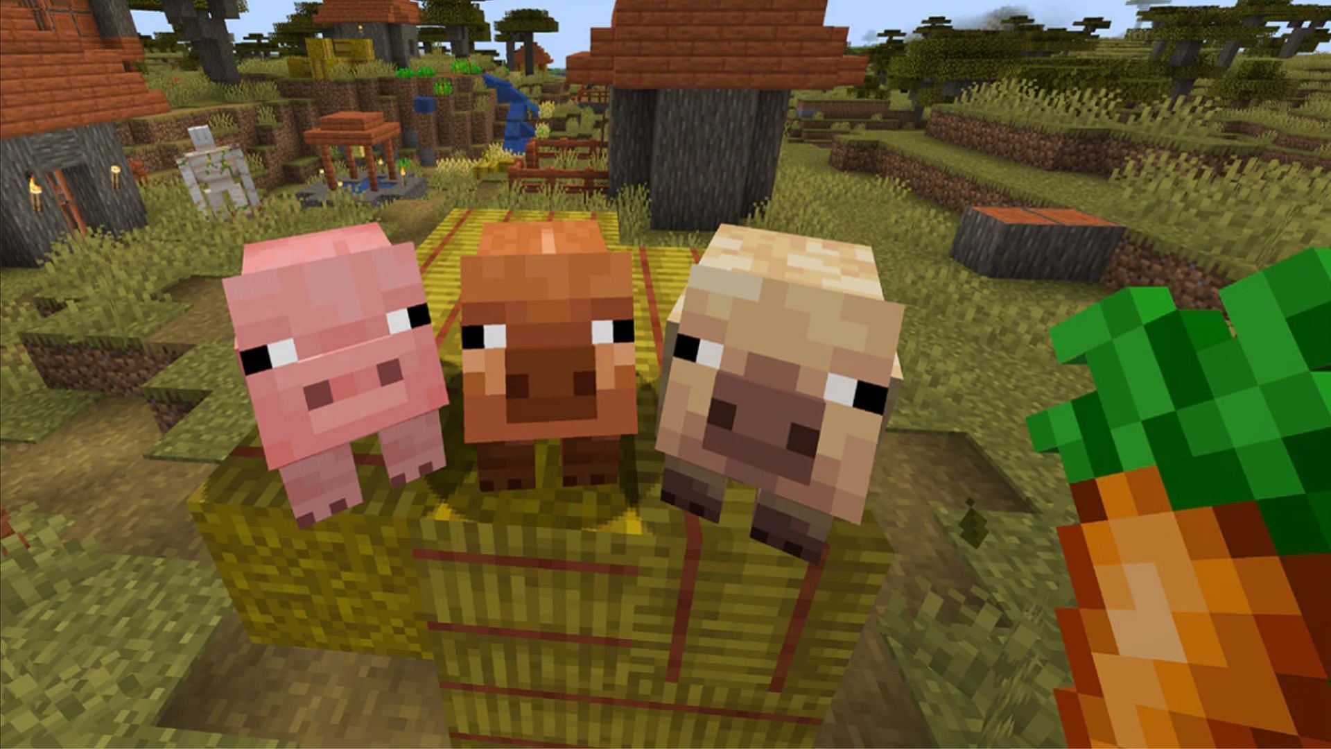 While the update is set to add pig variants, there could be more (Image via Mojang Studios)