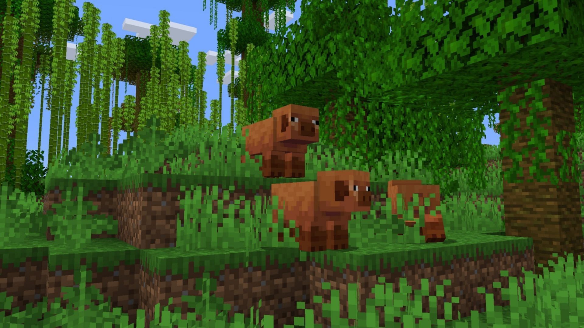 Two new pig variants have been added to the game (Image via Mojang Studios)