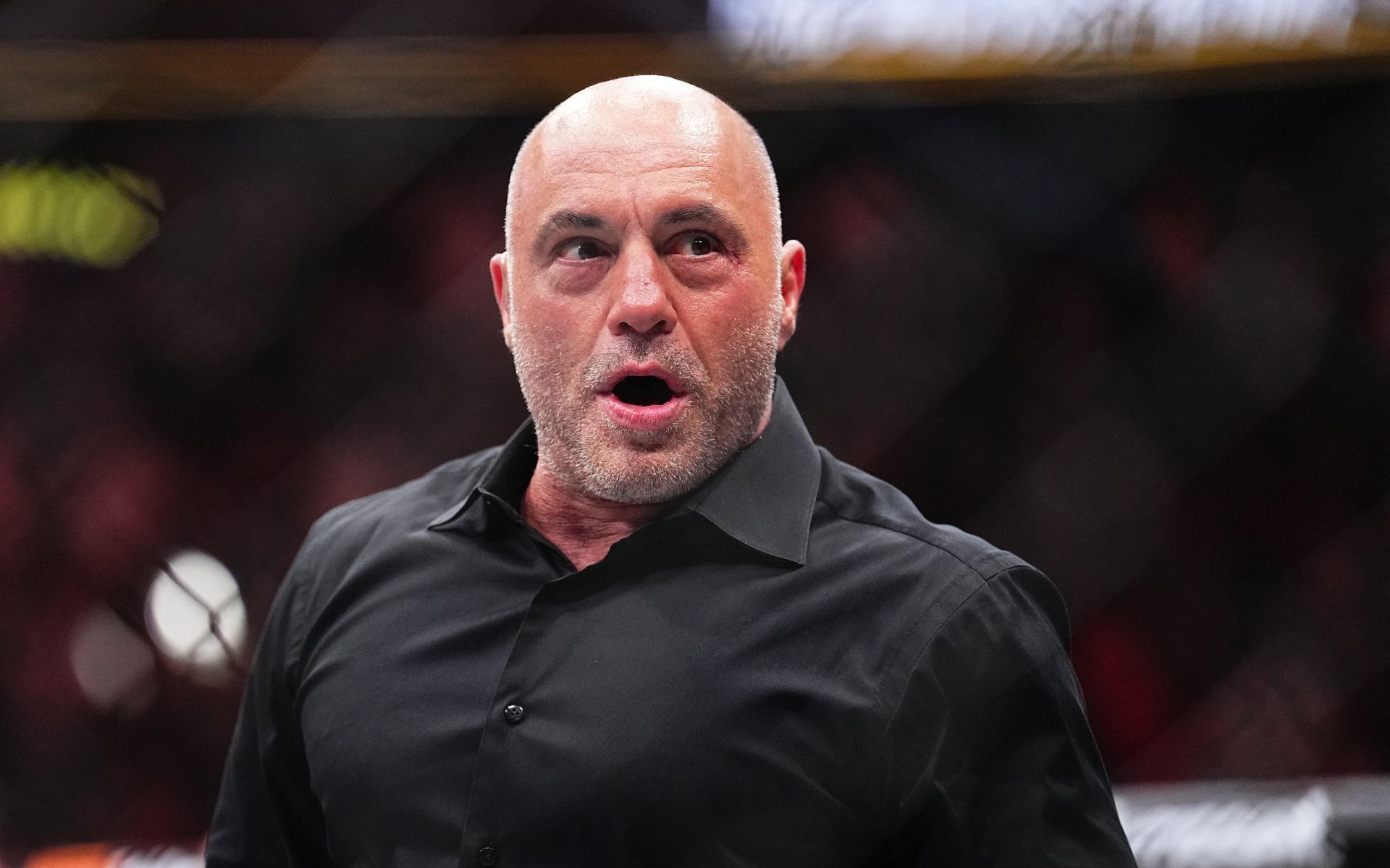 UFC color commentator and podcast mogul Joe Rogan (pictured) is often praised for his insightful MMA analysis [Image courtesy: Getty Images]