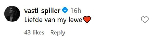 Vasti Spiller's comment (courtesy of @dricusduplessis's post on Instagram)