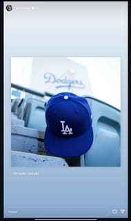 (Image source - Freddie Freeman's IG)