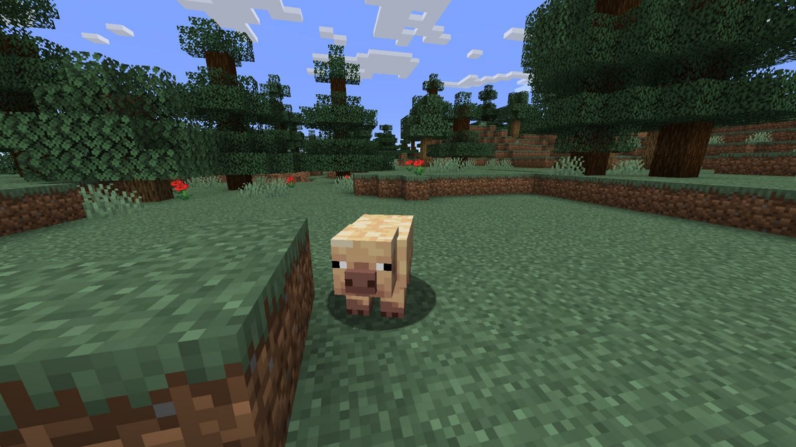 Pig variants are here (Image via Mojang)