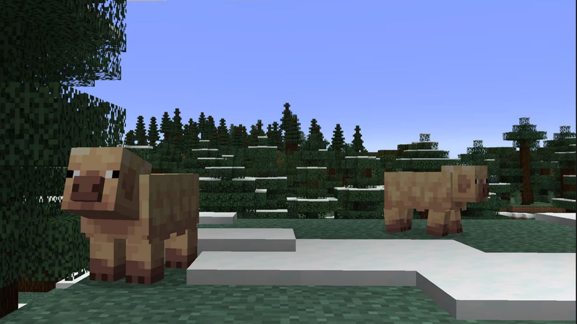 Pigs have gotten variants after wolves (Image via Mojang Studios)