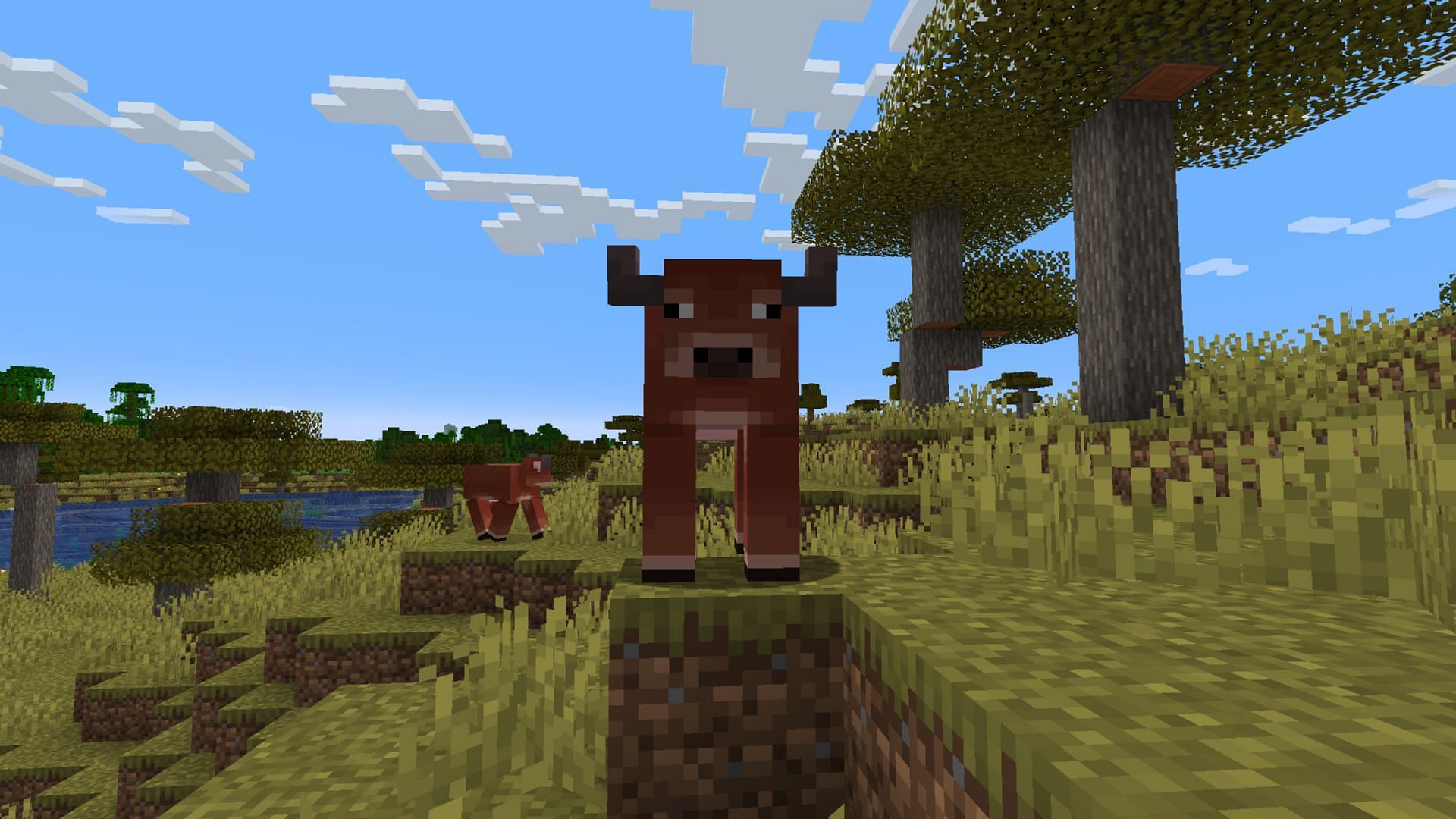 The warm cow can be found in biomes with higher temperatures, such as deserts and plateaus (Image via Mojang Studios)