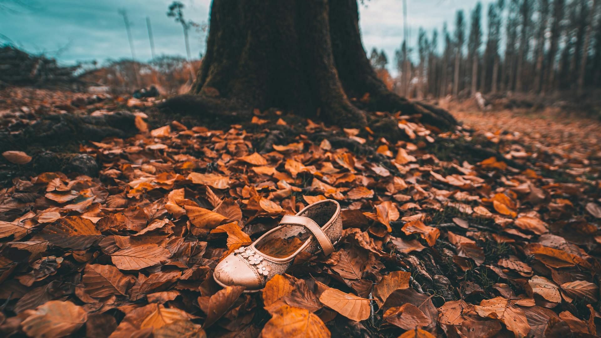 A young child&#039;s shoe was found in the family backyard (Image via Pexels)