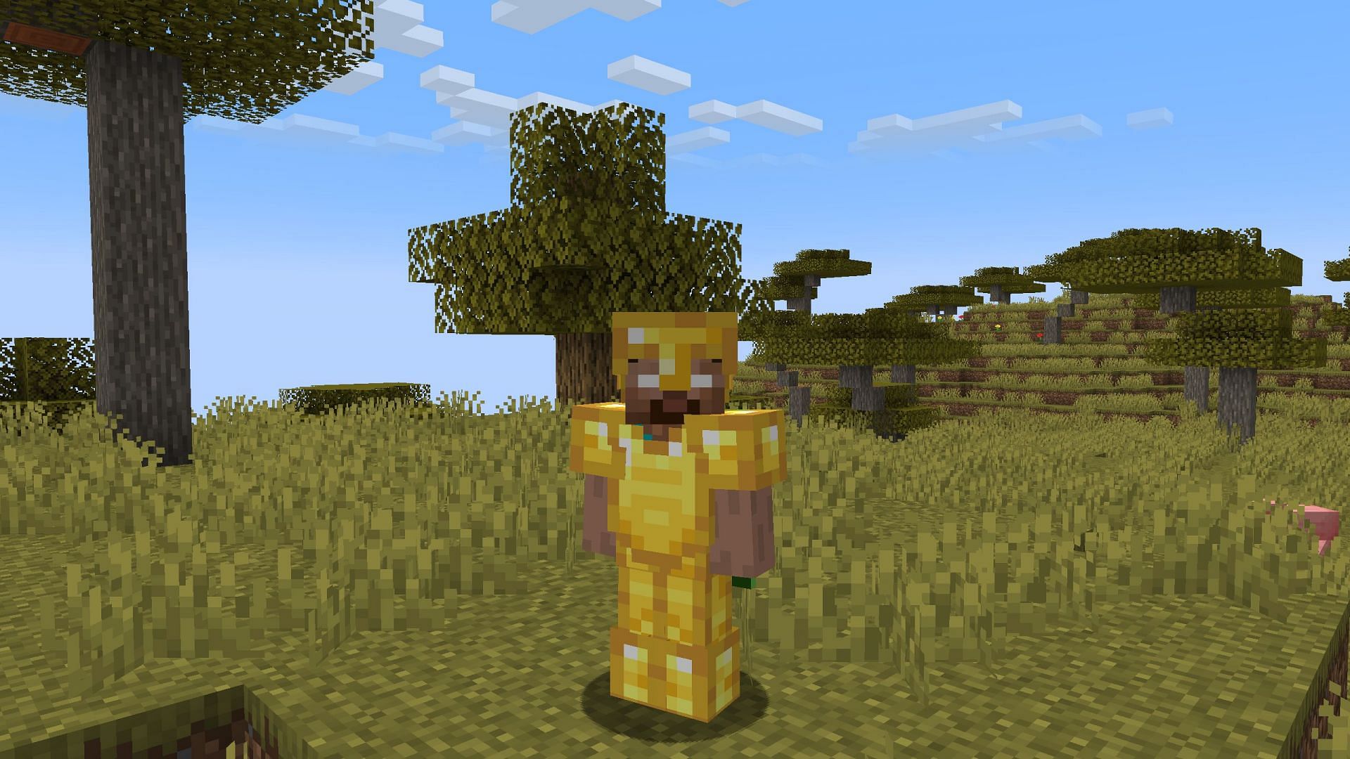 Gold armor does have some use in Minecraft (Image via Mojang Studios)