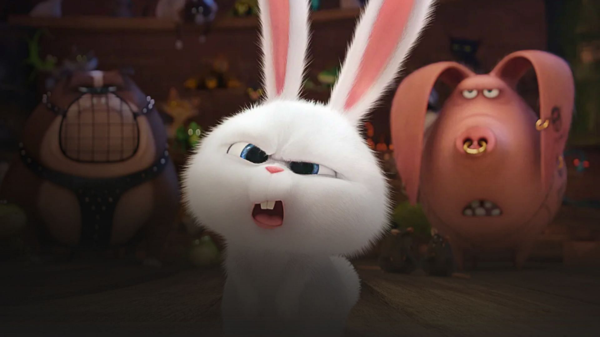 A still from  The Secret Life of Pets 