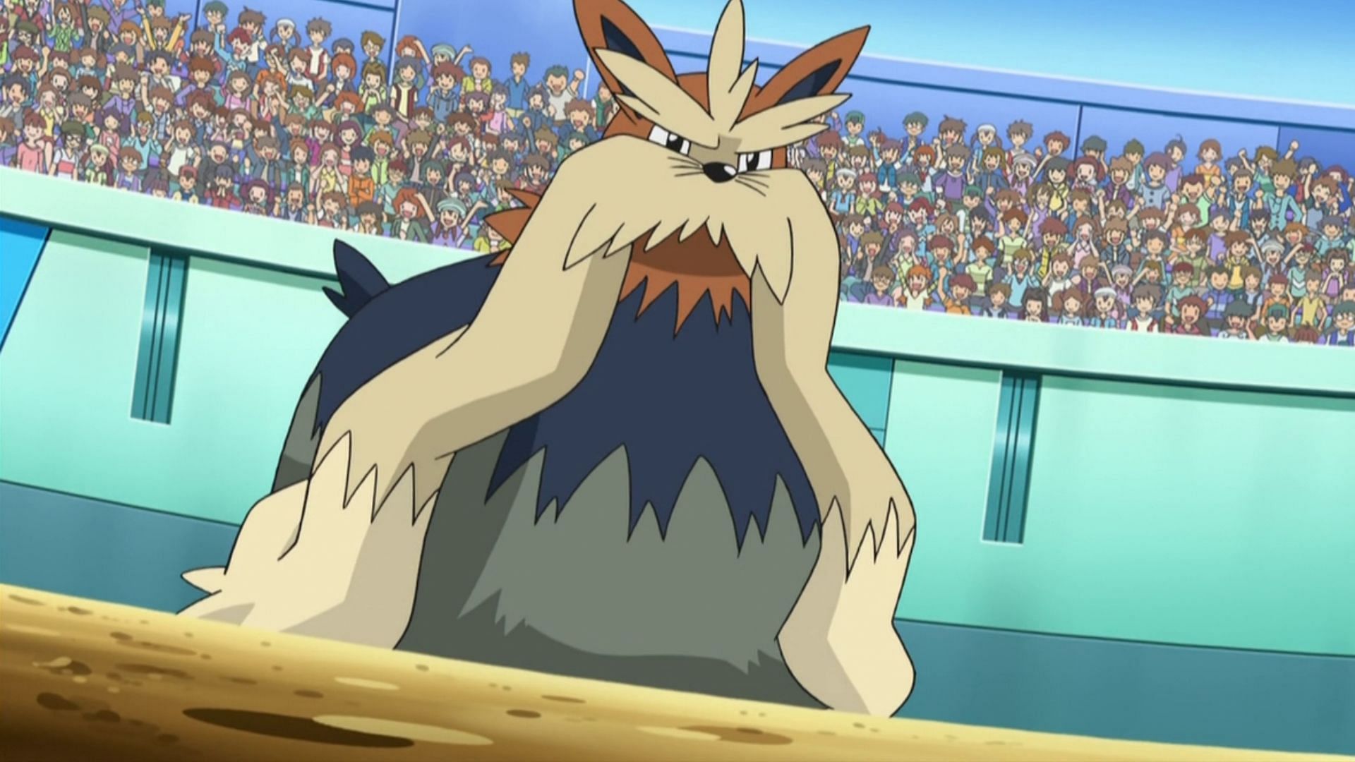 Stoutland, as seen in the anime (Image The Pokemon Company)