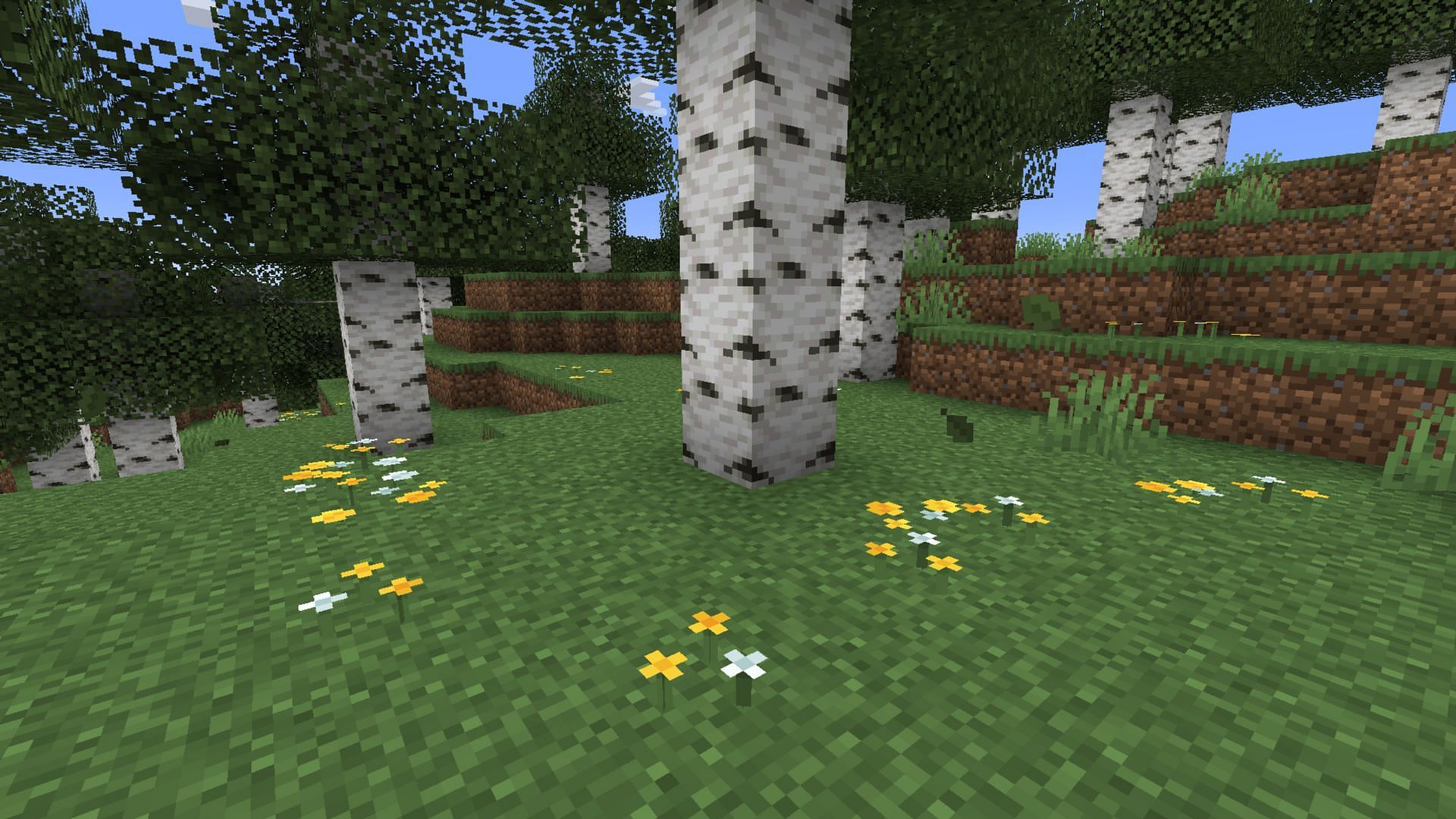 Head to these three biomes and look for the distinct white and yellow clump of wildflowers (Image via Mojang Studios)