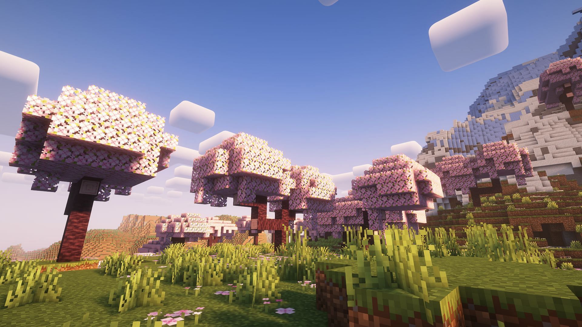 Cherry Grove is arguably the most beautiful Overworld biome to live in Minecraft (Image via Mojang Studios)