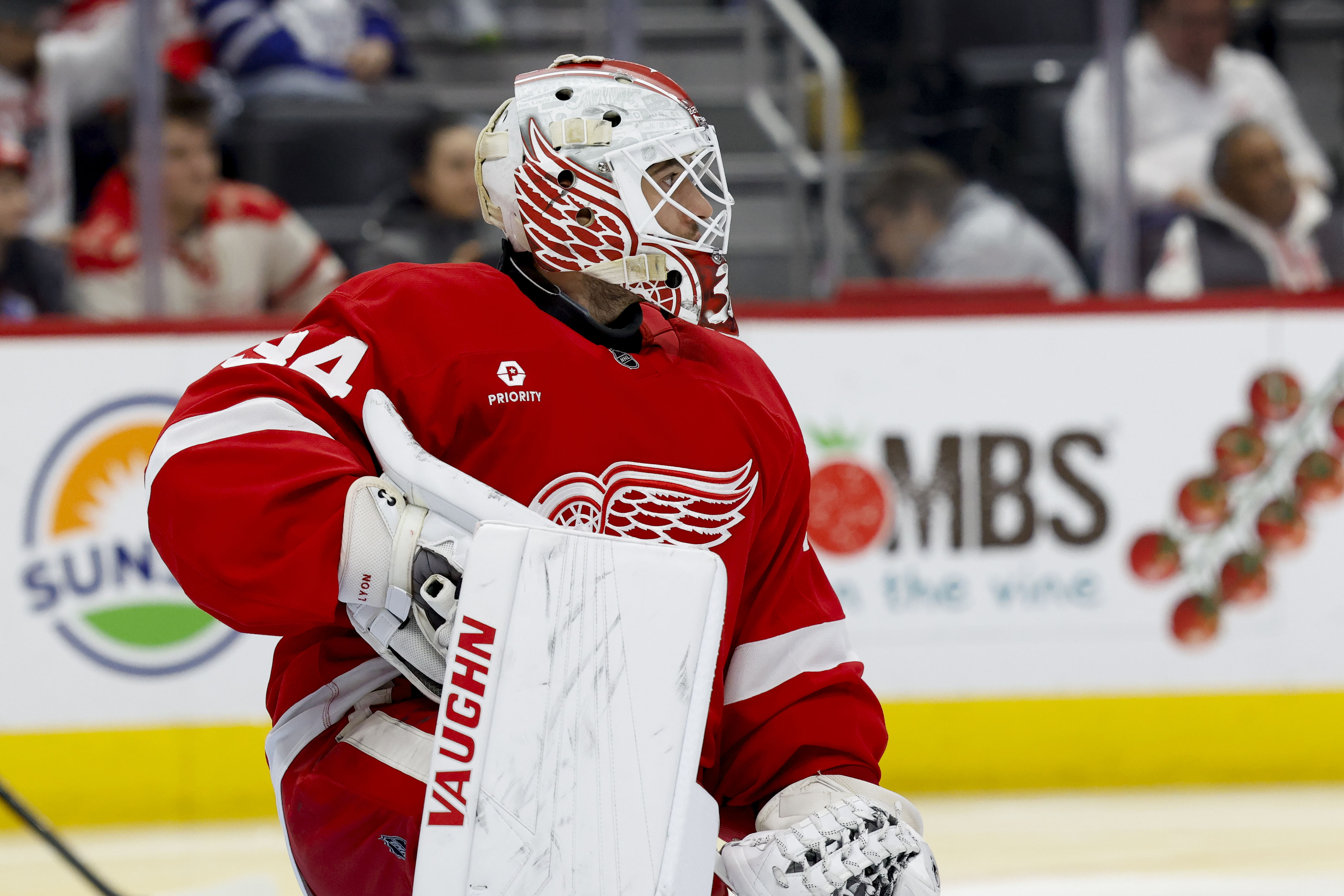 NHL: Toronto Maple Leafs at Detroit Red Wings - Source: Imagn