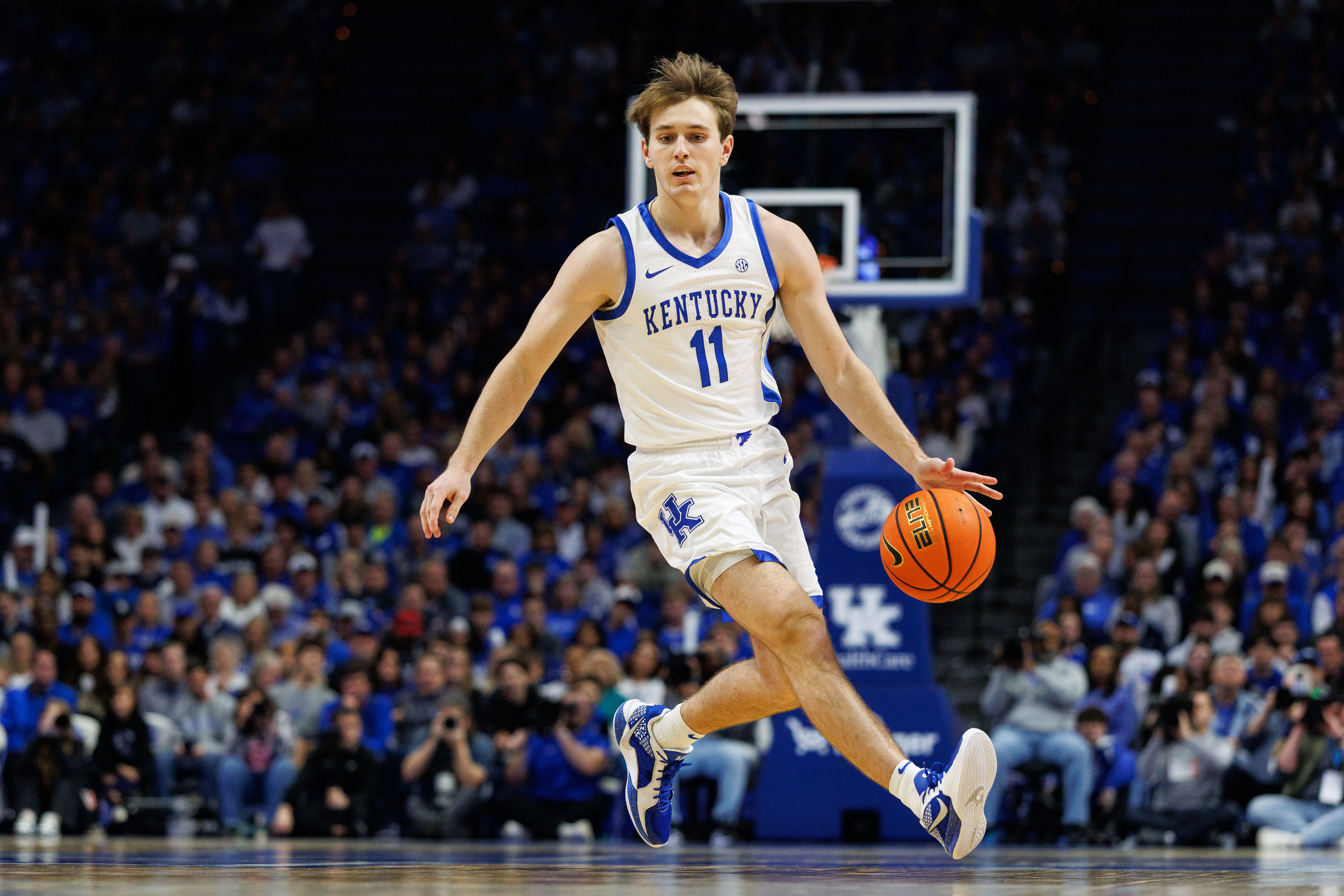 Kentucky Wildcats guard Travis Perry (#11) dribbles the ball during the second half against the Brown Bears at Rupp Arena at Central Bank Center. Photo: Imagn