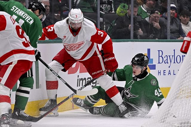 NHL: Detroit Red Wings at Dallas Stars - Source: Imagn