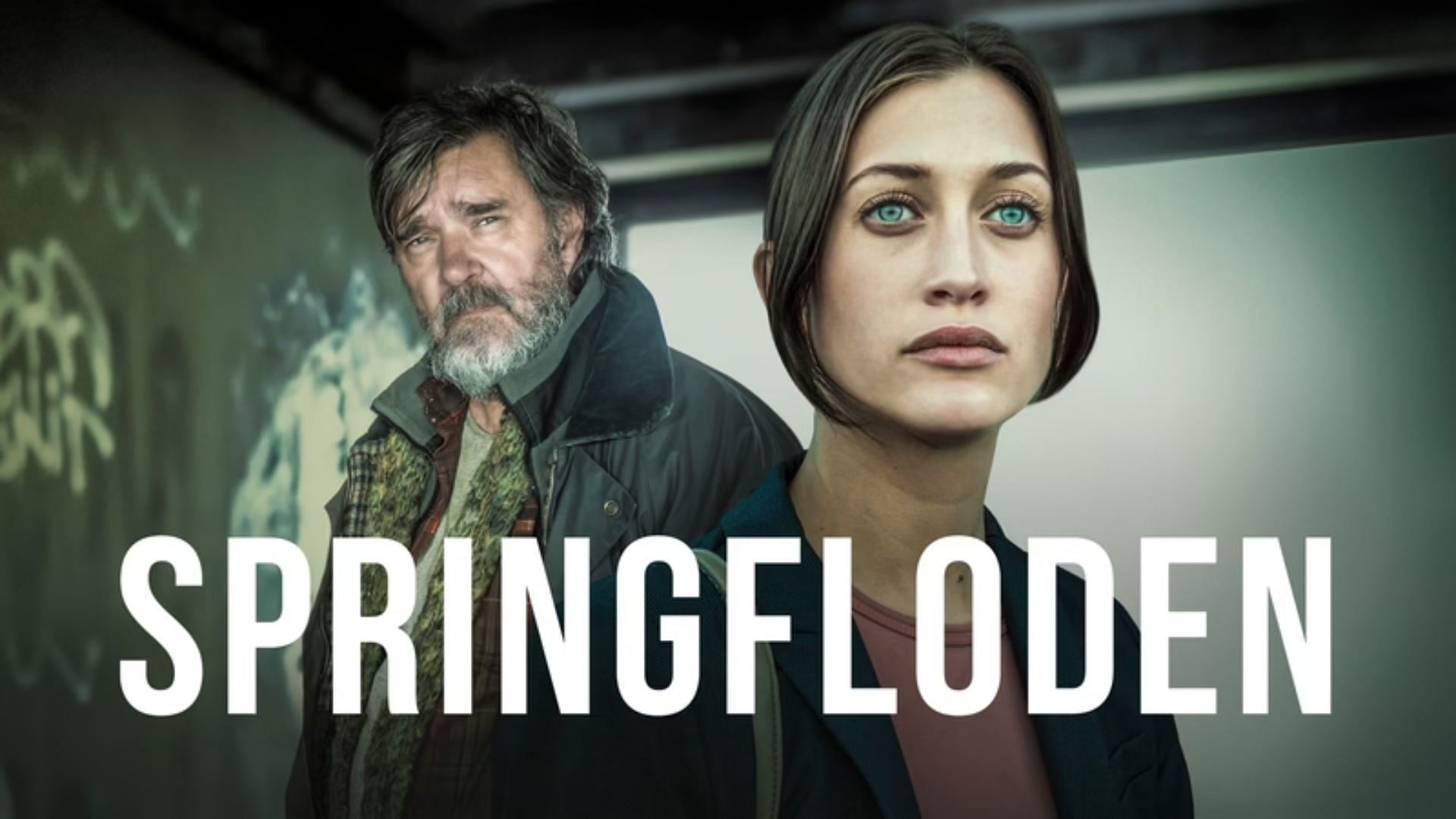 This Swedish show boasts an intriguing central character who carries the narrative (Image via SVT Play)