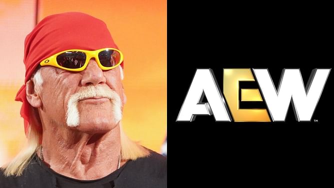 "Great to see EVERYONE unite for their dislike of Hulk Hogan," says former AEW star after awkward RAW segment