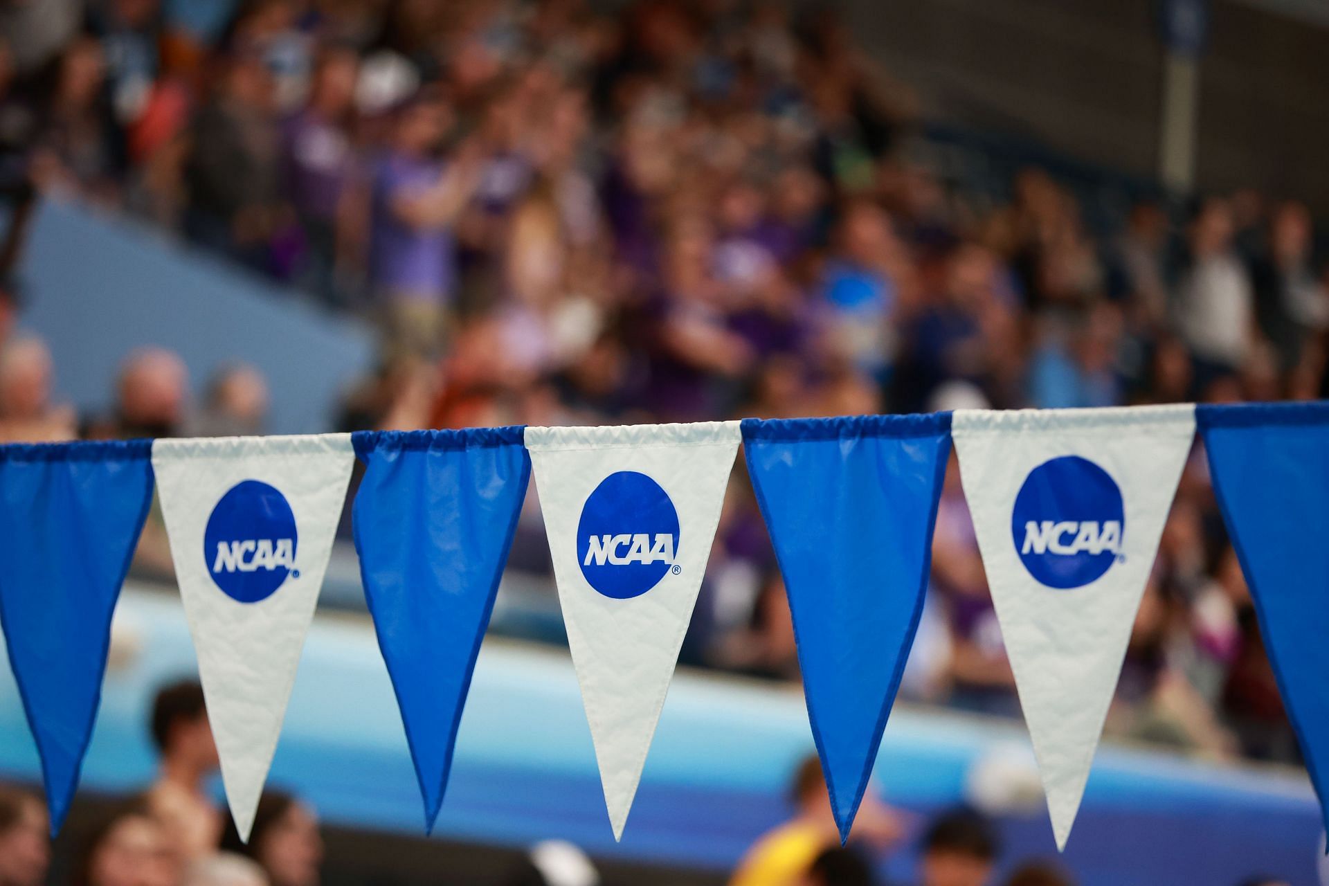 2024 NCAA Division III Swimming and Diving Championships - (Source: Getty)