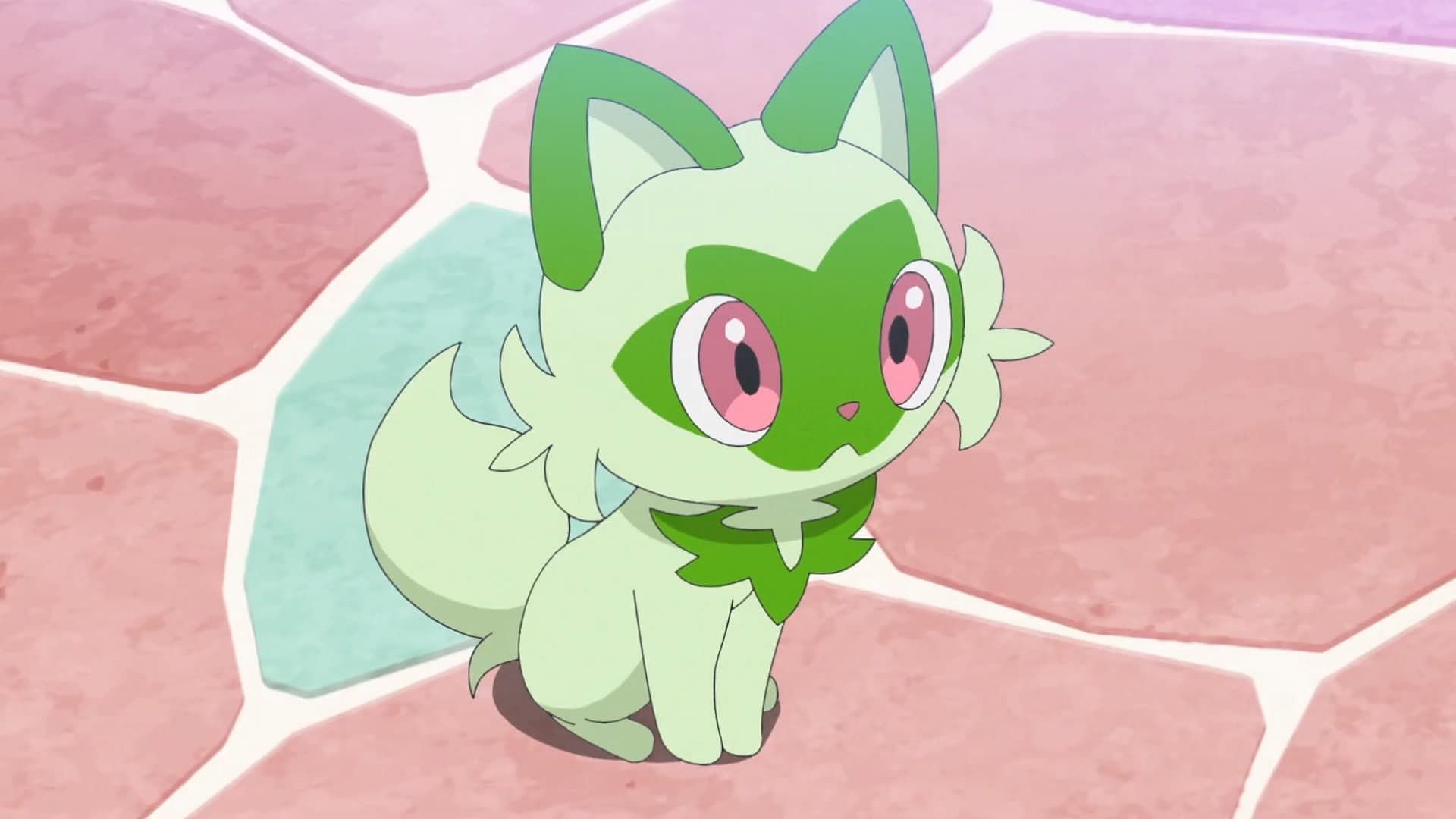 Sprigatito as seen in the anime (Image via The Pokemon Company)