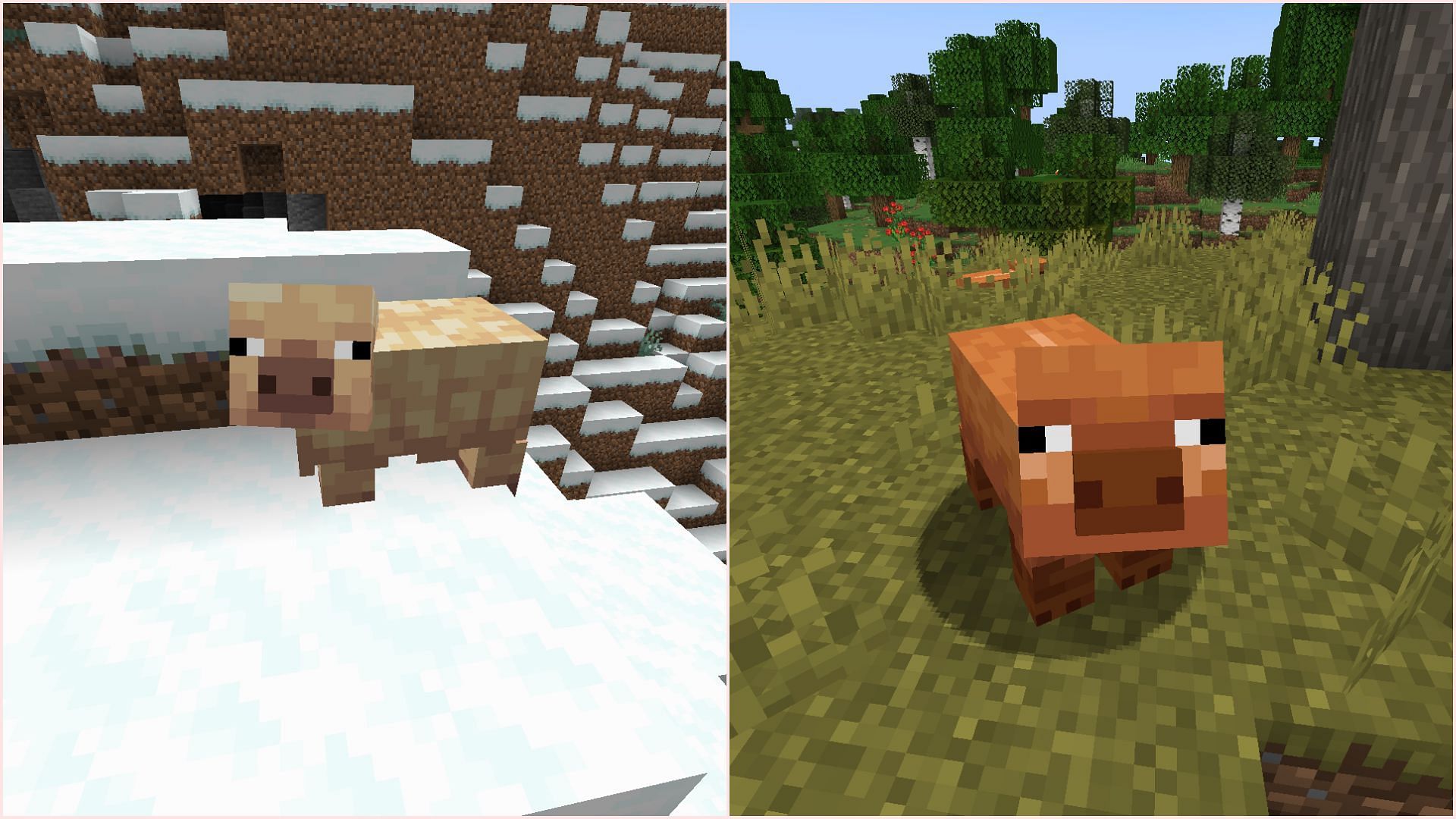 Two pig variants are coming to Minecraft in the upcoming drop (Image via Mojang Studios)