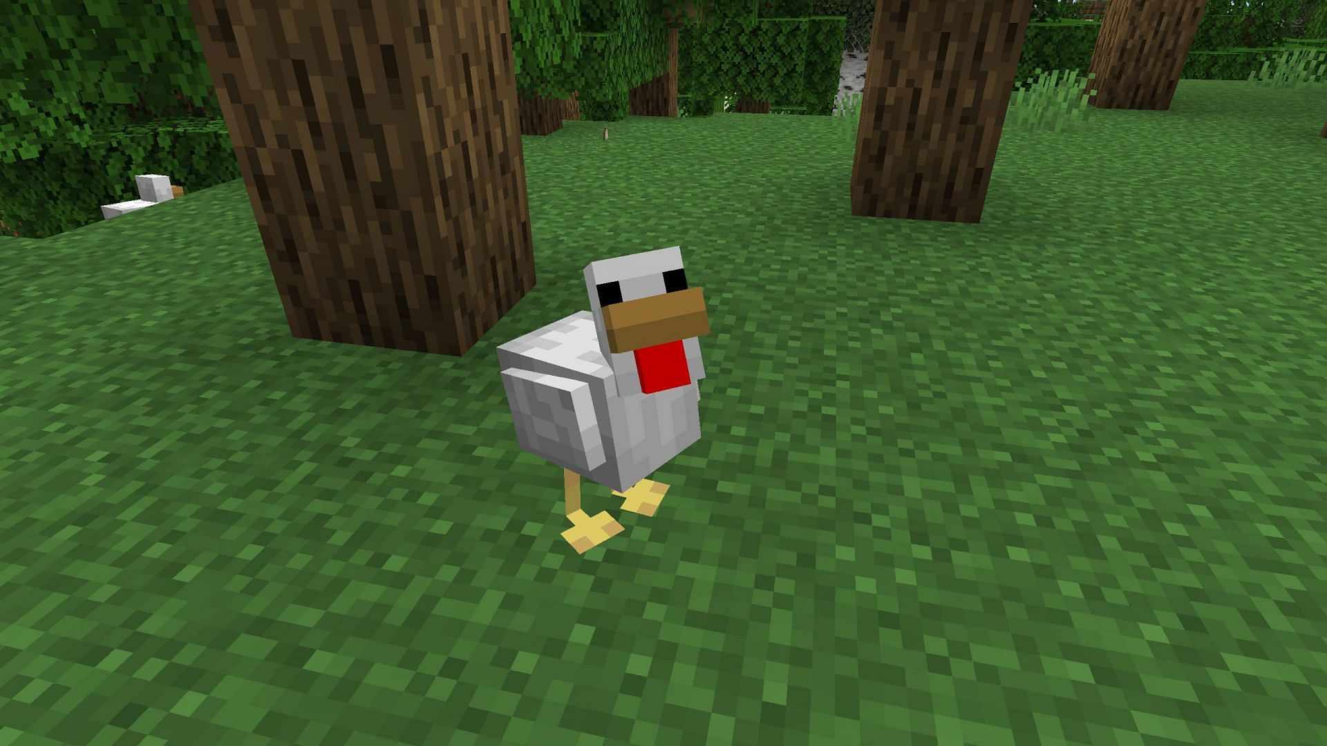 Chicken should get a visual overhaul in Minecraft (Image via Mojang Studios)