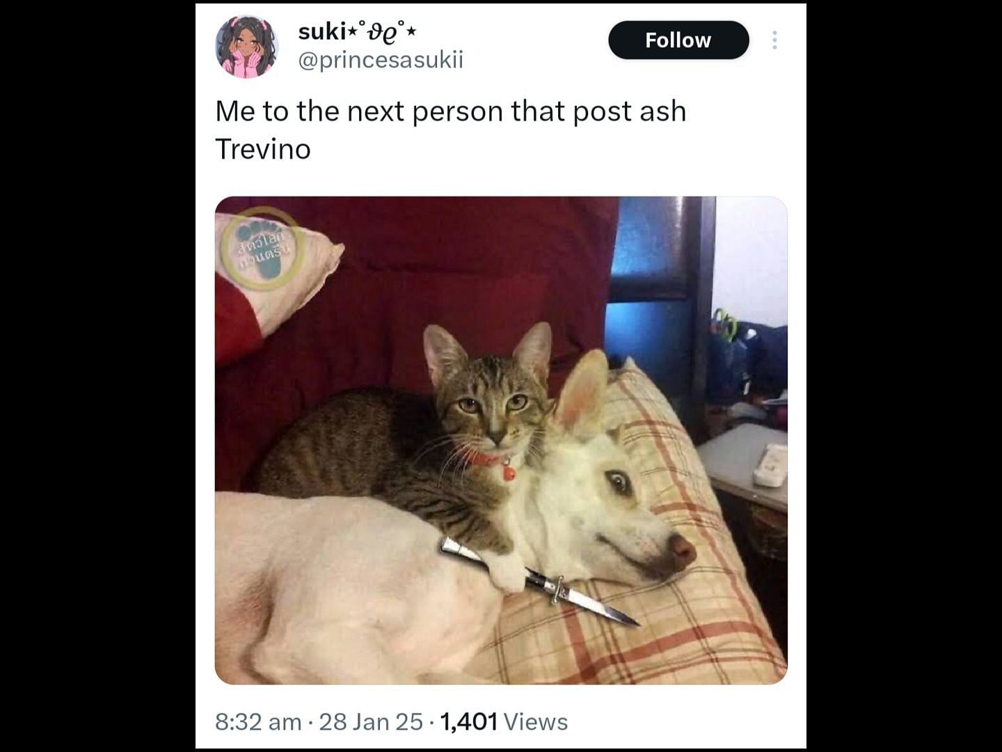 Netizens react to Trevino&#039;s NSFW Instagram story. (Image via X/@princesasukii)