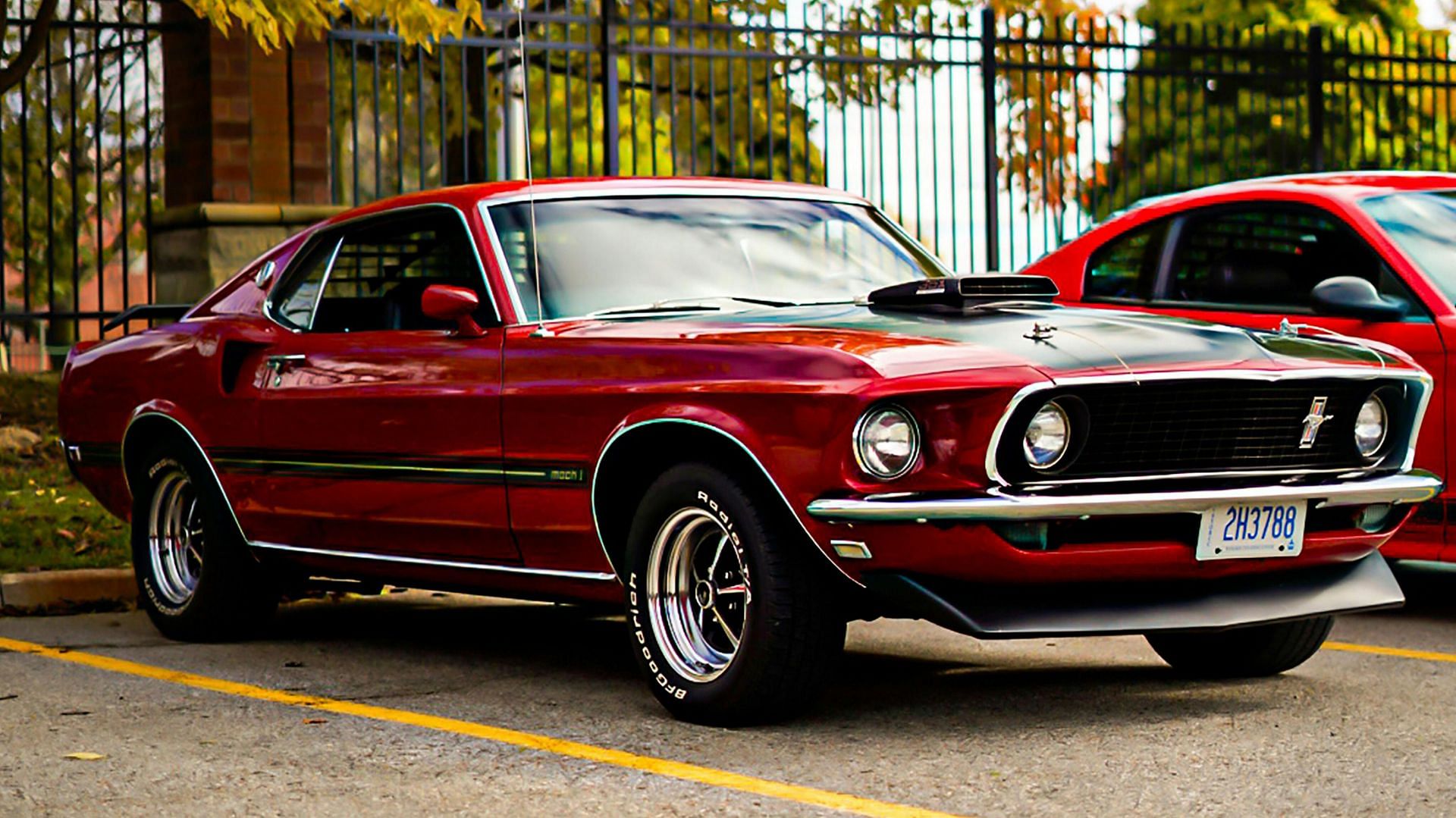 Randy owned a 1969 model of Mustang  (Representative Photo by pexels ) 