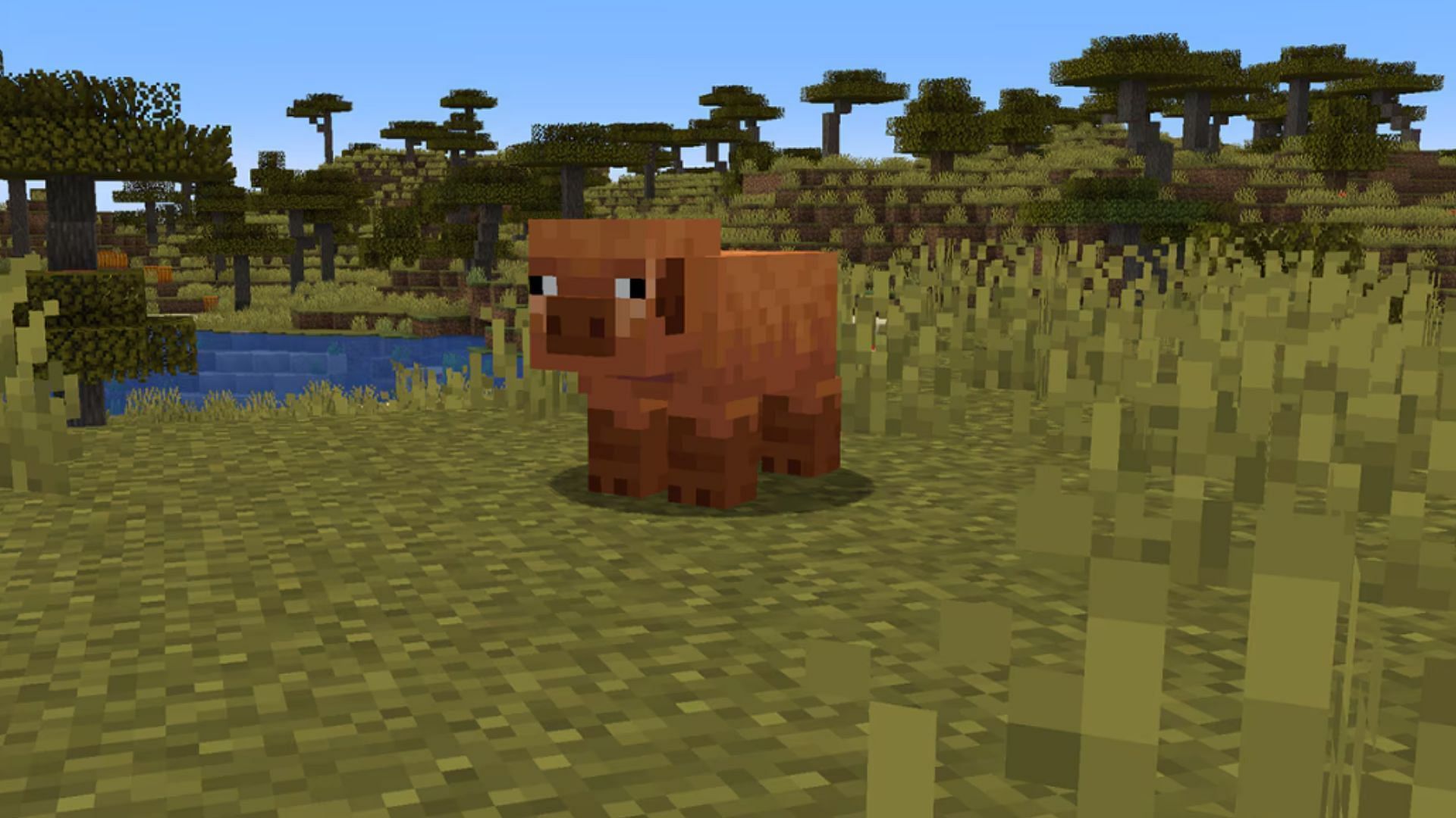 Warm pigs are a cute new addition to the game (Image via Mojang Studios)