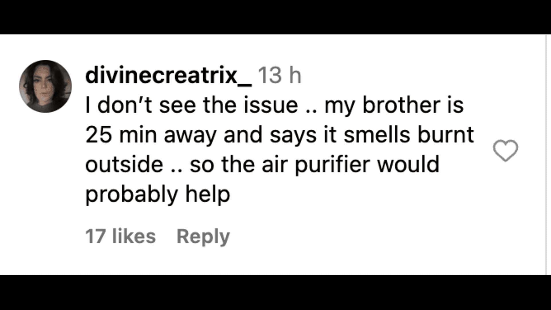 Netizens come in support of Michele, as the reality star received massive backlash for promoting air purifiers amidst the LA fires. (Image via Instagram/@theshaderoom)