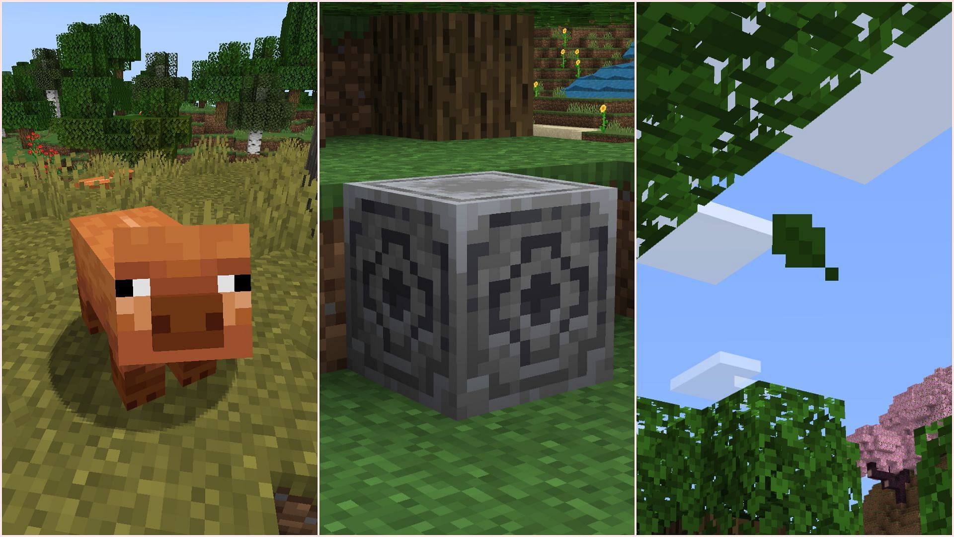 New Minecraft beta version 1.21.60.25 adds several new features arriving in an upcoming drop (Image via Mojang Studios)