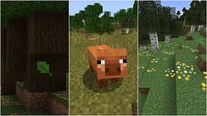 Upcoming Minecraft game drop update is going to change the Overworld for the better