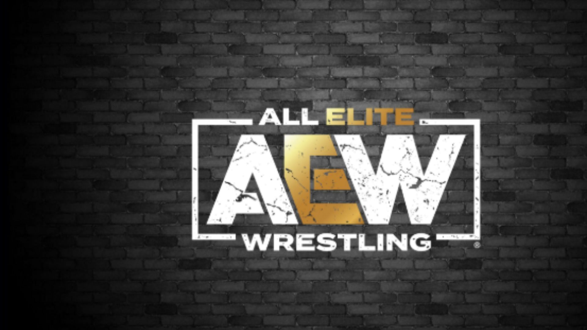 AEW has a treasure trove of wrestling talent from across the world currently [Image Credits: AEW