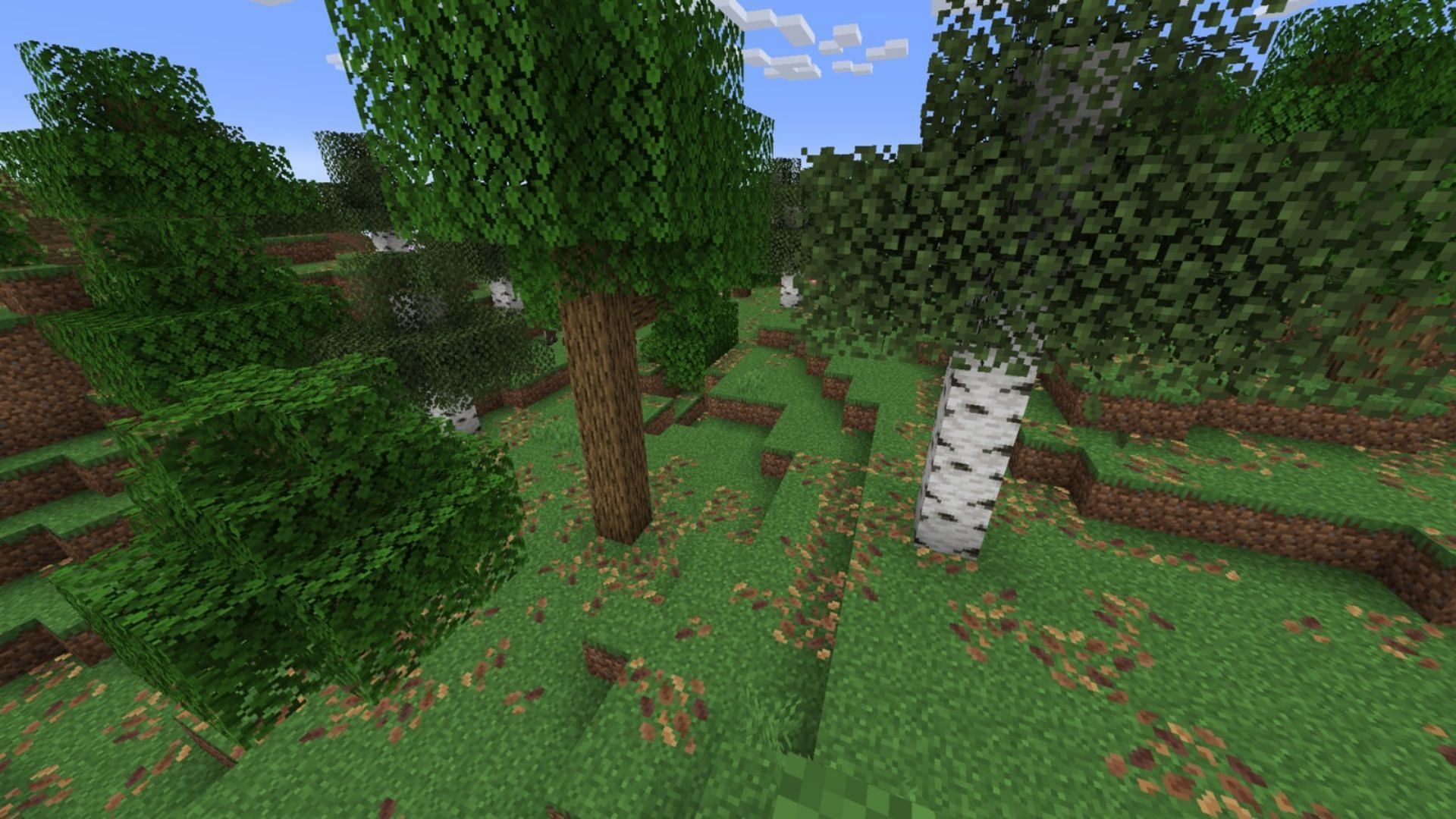 The newly added falling leaves effect in Minecraft (Image via Mojang Studios)